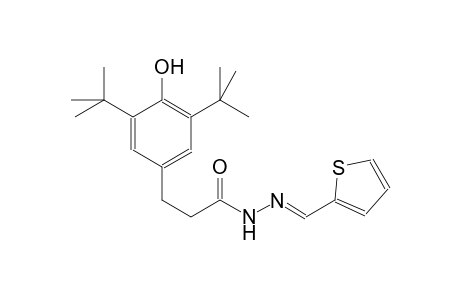 3-(3,5-ditert-butyl-4-hydroxyphenyl)-N'-[(E)-2-thienylmethylidene]propanohydrazide