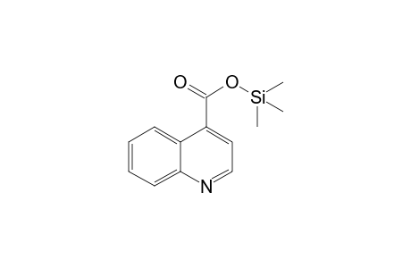 quinoline-4-carboxylic acid, 1TMS