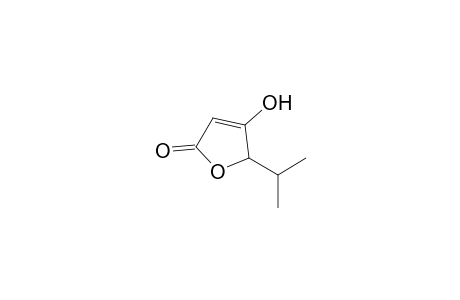 4-Hydroxy-5-isopropyl-5H-furan-2-one