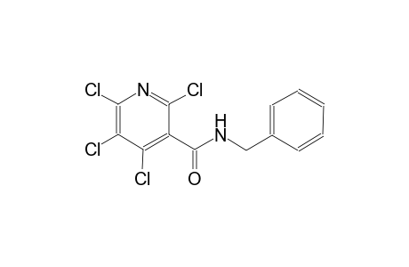 N-Benzyl-2,4,5,6-tetrachloro-nicotinamide