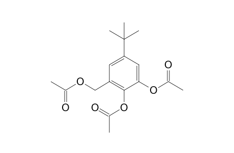 (2,3-diacetoxy-5-tert-butyl-phenyl)methyl acetate