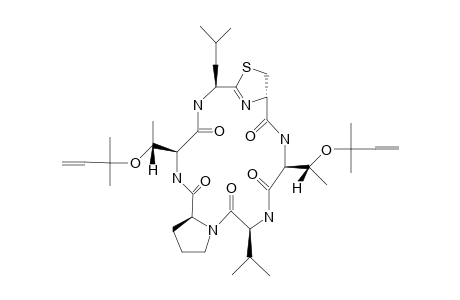 PATTELIN-2;MAJOR-CONFORMER