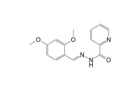 2-pyridinecarboxylic acid, 2-[(E)-(2,4-dimethoxyphenyl)methylidene]hydrazide