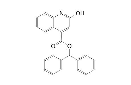 benzhydryl 2-hydroxy-4-quinolinecarboxylate
