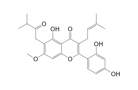 2-(2,4-Dihydroxyphenyl)-5-hydroxy-7-methoxy-3-(3-methylbut-2-en-1-yl)-6-(3-methyl-2-oxobutyl)-4H-1-benzopyran-4-one