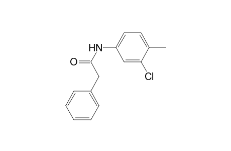 N-(3-Chloro-4-methylphenyl)-2-phenylacetamide