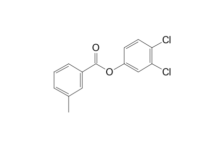 m-Toluic acid, 3,4-dichlorophenyl ester
