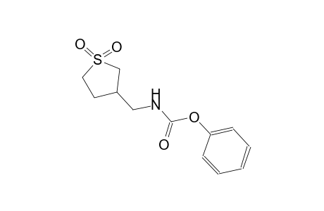phenyl (1,1-dioxidotetrahydro-3-thienyl)methylcarbamate