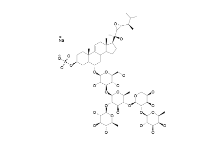 NOVAEGUINOSIDE_II;SODIUM_(20-R,22-R,23-S,24-S)-6-ALPHA-O-{BETA-D-FUCOPYRANOSYL-(1->2)-ALPHA-L-ARABINOPYRANOSYL-(1->4)-[BETA-D-QUINOVOPYRANOSYL-(1->