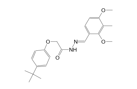 2-(4-tert-butylphenoxy)-N'-[(E)-(2,4-dimethoxy-3-methylphenyl)methylidene]acetohydrazide