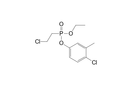 1-Chloranyl-4-[2-chloroethyl(ethoxy)phosphoryl]oxy-2-methyl-benzene