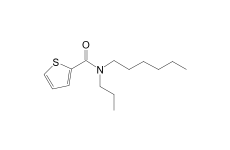 Thiophene-2-carboxamide, N-propyl-N-hexyl-