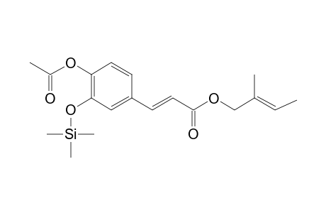 Caffeic acid <(E)>, 4-acetoxy-, 2-methyl-2-butenyl ester, mono-TMS