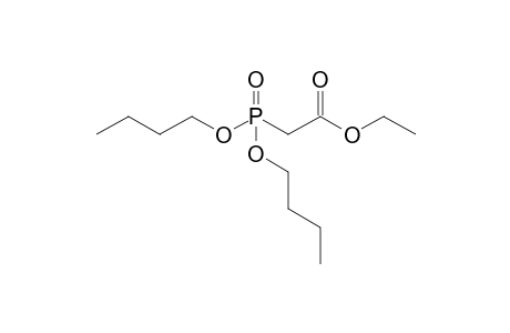 Ethyl(dibutoxyphosphoryl)