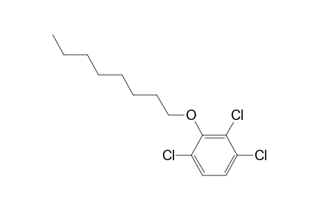 2,3,6-Trichlorophenyl octyl ether