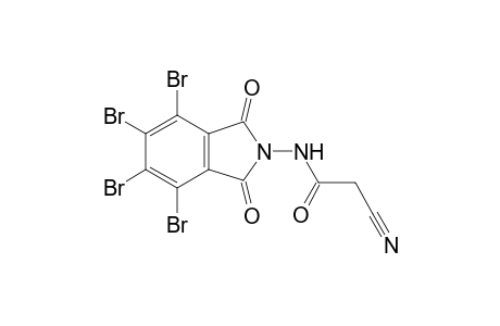 2-Cyano-N-(4,5,6,7-tetrabromo-1,3-dioxoisoindolin-2-yl)acetamide