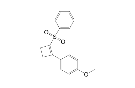 1-Phenylsulfonyl-2-para-methoxyphenyl-1-cyclobutene