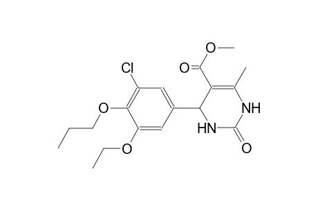 methyl 4-(3-chloro-5-ethoxy-4-propoxyphenyl)-6-methyl-2-oxo-1,2,3,4-tetrahydro-5-pyrimidinecarboxylate