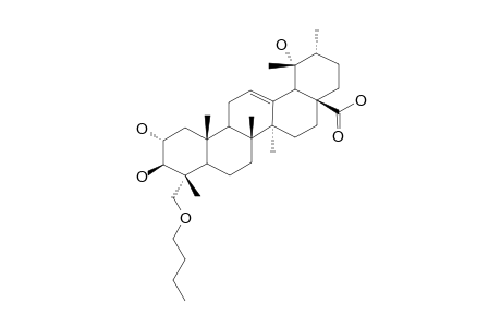 24-BUTOXY-2-ALPHA,3-BETA,19-ALPHA,24-TETRAHYDROXY-URS-12-EN-28-OIC-ACID