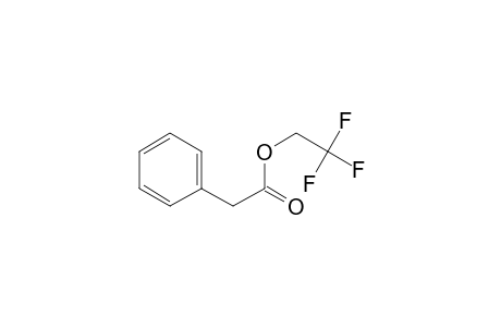 2,2,2-trifluoroethyl 2-phenylacetate