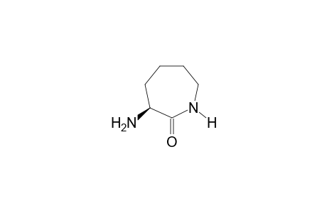 l-Alpha-amino-epsilon-caprolactam