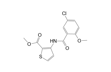 methyl 3-[(5-chloro-2-methoxybenzoyl)amino]-2-thiophenecarboxylate