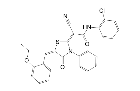 (2E)-N-(2-chlorophenyl)-2-cyano-2-[(5E)-5-(2-ethoxybenzylidene)-4-oxo-3-phenyl-1,3-thiazolidin-2-ylidene]ethanamide