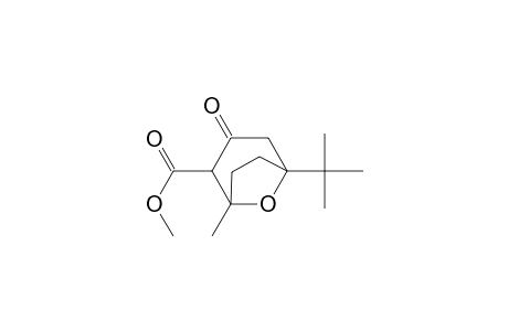 5-tert-Butyl-2-(methoxycarbonyl)-1-methyl-8-oxabicyclo[3.2.1]octan-3-one