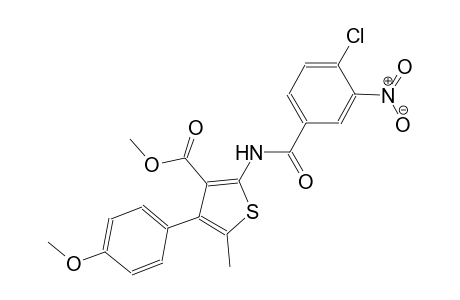 methyl 2-[(4-chloro-3-nitrobenzoyl)amino]-4-(4-methoxyphenyl)-5-methyl-3-thiophenecarboxylate