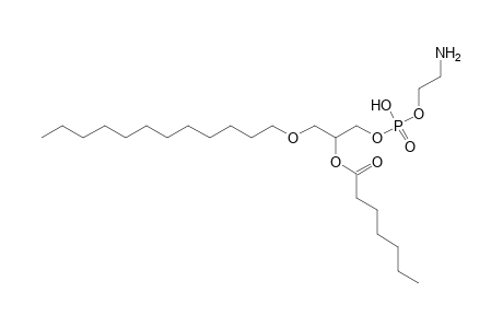 PE O-12:0_7:0