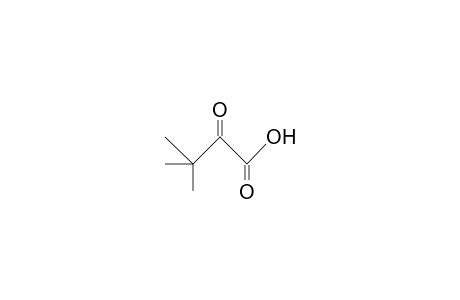 3,3-Dimethyl-2-oxo-butanoic acid