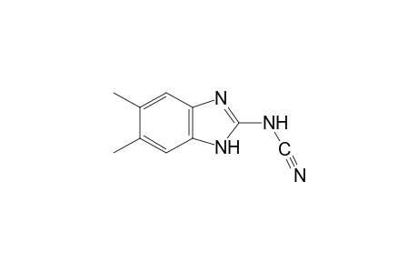 5,6-dimethyl-2-benzimidazolecarbamonitrile