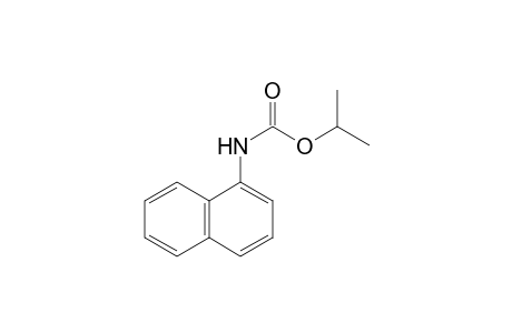 1-naphthalenecarbamic acid, isopropyl ester