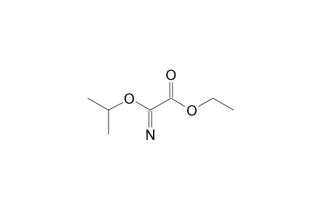 2-IMINO-2-ISOPROPOXYACETATE