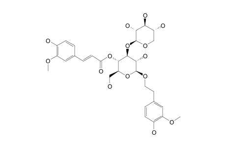 3,3''-O-METHYL-CONANDROSIDE;AESCHYNANTHOSIDE-C