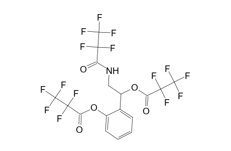 2-(2-[(2,2,3,3,3-Pentafluoropropanoyl)amino]-1-[(2,2,3,3,3-pentafluoropropanoyl)oxy]ethyl)phenyl 2,2,3,3,3-pentafluoropropanoate