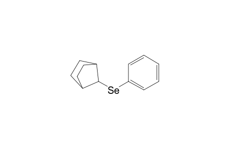 Bicyclo[2.2.1]heptane, 7-(phenylseleno)-