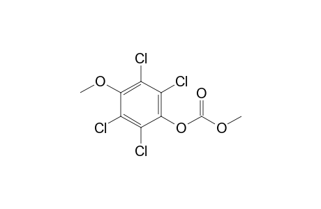 Carbonic acid methyl (2,3,5,6-tetrachloro-4-methoxy-phenyl) ester