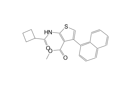 methyl 2-[(cyclobutylcarbonyl)amino]-4-(1-naphthyl)-3-thiophenecarboxylate
