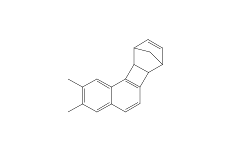 2,3-Dimethyl-6b,7,10,10a-tetrahydro-7,10-methanobenzo[a]biphenylene