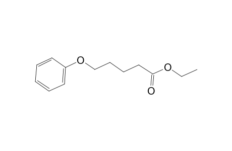 Pentanoic acid, 5-phenoxy-, ethyl ester