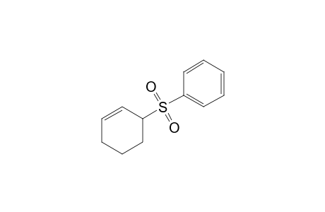 3-(Phenylsulfonyl)cyclohex-1-ene