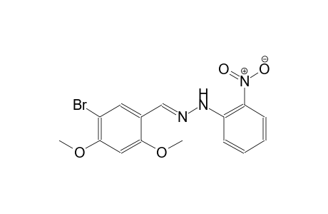 5-bromo-2,4-dimethoxybenzaldehyde (2-nitrophenyl)hydrazone