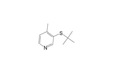 4-Picoline, 3-(tert-butylthio)-