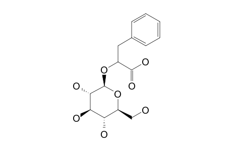 PHENYLLACTIC-ACID-2-O-BETA-D-GLUCOPYRANOSIDE