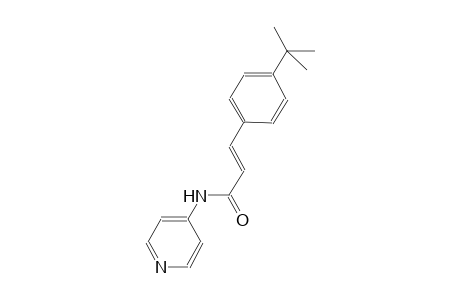 (2E)-3-(4-tert-butylphenyl)-N-(4-pyridinyl)-2-propenamide