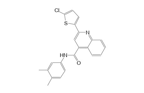 2-(5-chloro-2-thienyl)-N-(3,4-dimethylphenyl)-4-quinolinecarboxamide