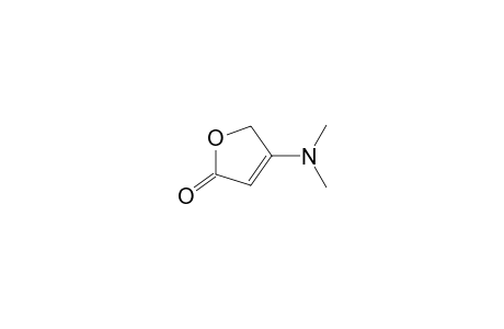 4-Dimethylamino-2(5h)-furanone