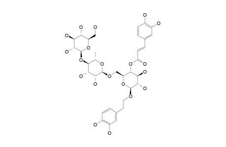TURRILLIOSIDE-A;BETA-(3,4-DIHYDROXYPHENYL)-ETHYL-4-O-E-CAFFEOYL-O-[BETA-GLUCOPYRANOSYL-(1->4)-ALPHA-RHAMNOPYRANOSYL-(1->6)]-BETA-GLUCOPYRANOSIDE