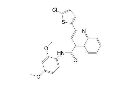 2-(5-chloro-2-thienyl)-N-(2,4-dimethoxyphenyl)-4-quinolinecarboxamide